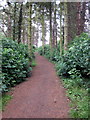 Path towards Newport Pagnell from the Lovat