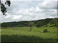 Dead tree in pastureland by Keeper