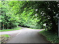 Looking south along Shootersway