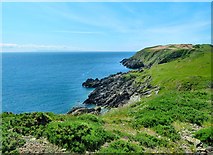 NX4634 : Coastal Path near Morrach by Andy Farrington