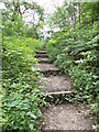 Footpath - Scotland Mill Lane