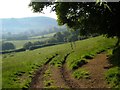 Track near Chagford