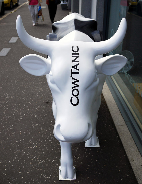 'CowParade' cow, Belfast