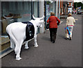 J3271 : 'CowParade' cow, Belfast by Rossographer