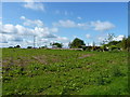 TV mast on the hill east of Leek