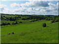 Farmland east of Leek