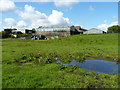 Barns and wet fields at Stile House farm