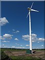 Wind Turbine at Muirhouse near Forth