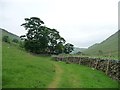 NY4116 : Bridleway approaching Boredale Head by Christine Johnstone