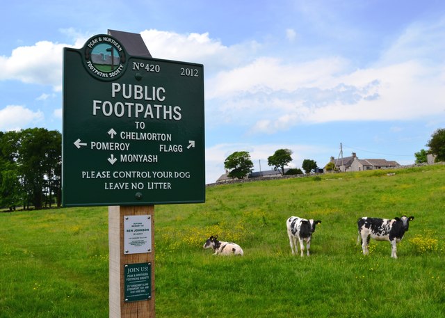 Junction of paths and calves in Flagg