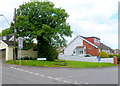 Bench and tree, Shirley Drive, Heolgerrig, Merthyr Tydfil
