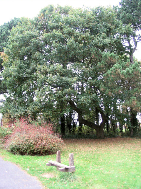 Looking towards the Old Oak, Hill End Hospital Cemetery, St Albans