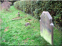 TL1706 : The Grave Stones in Hill End Hospital Cemetery, St Albans by Chris Reynolds