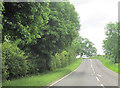 A631 east near Cow Pasture Wood