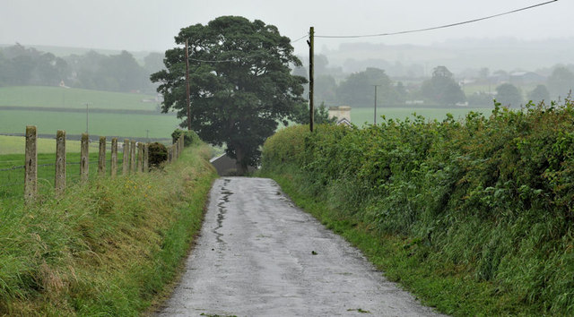 Carson's Lane near Hillhall, Lisburn