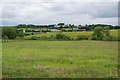 Green fields near Bowlee