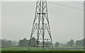 J2965 : Pylon and power lines near Hillhall, Lisburn by Albert Bridge