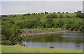 The embankment of Lower Lliw reservoir