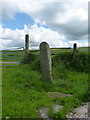 SK0357 : Benchmark on stone near New Mixon Hay by Richard Law