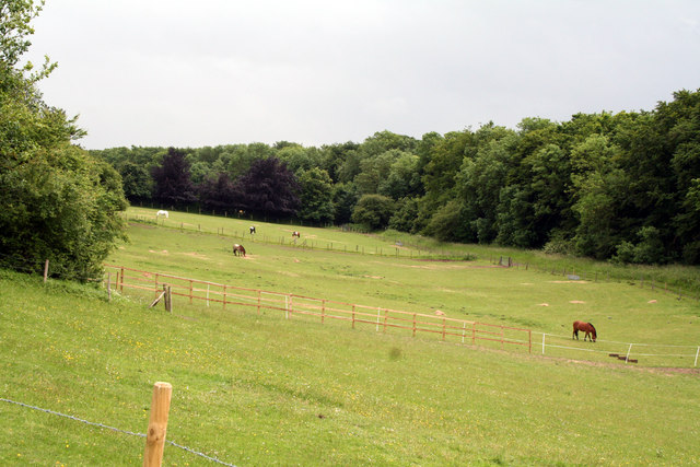 Carshalton Beeches: Fields with horses © Dr Neil Clifton cc-by-sa/2.0 ...