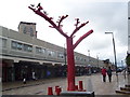 Motherwell Tree