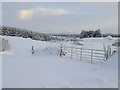NJ9259 : Snowy Blackhills towards Mormond Hill by Wayne Easton