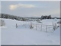 Snowy Blackhills towards Mormond Hill