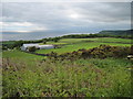 Thornfields  Farm  and  the  North  Sea