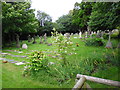 St Luke, Burton Green: churchyard