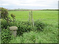 Robin  Hood  Field  from  Little  John  Field