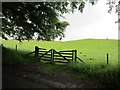 Field, Pool of Muckhart