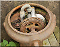 Old drinking fountain, Templepatrick (2)