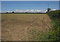 Crop near Ashdown Farm