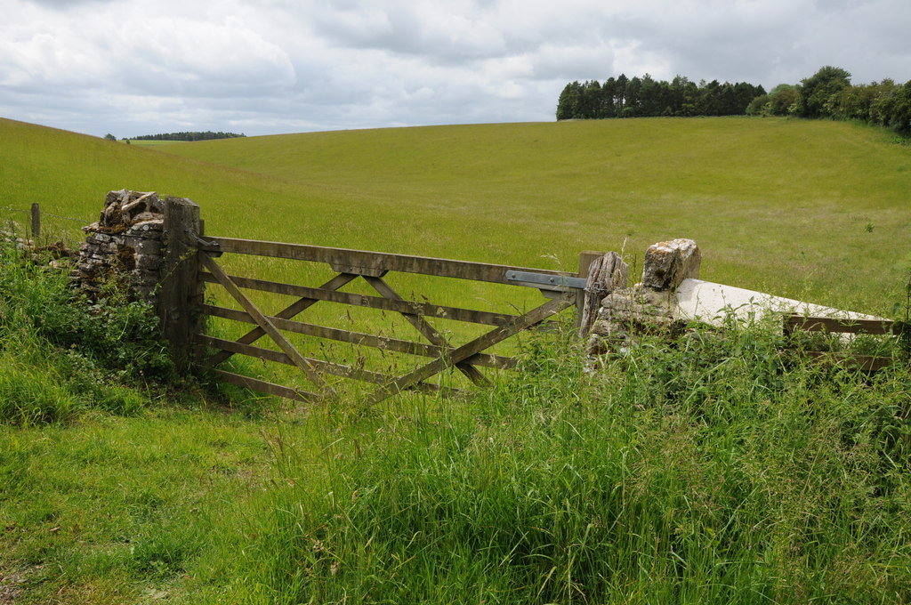 Gate into a field © Philip Halling :: Geograph Britain and Ireland