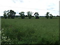 Farmland, Ayton