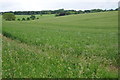 Arable land near Eastington