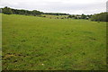 Farmland in the Leach valley