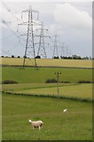 SP1311 : Pylons across the landscape by Philip Halling