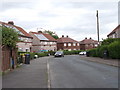 Bentley Avenue - viewed from Beech Grove