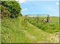 The Ring of Gullion Way approaching Captains Road