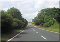 Long straight at Melton Road Farm