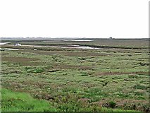 TG0345 : Marshes at Blakeney by Oliver Dixon