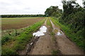 Farmland track