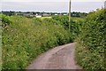 North Devon : Little Rackenford Lane