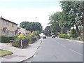 Haw Lane - viewed from Hawthorn Road