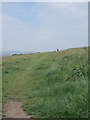 Footpath - Haw Lane