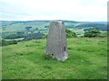 Triangulation Pillar on Corbar Hill