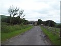 Road Approaching Turner Lodge Farm