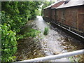 River Lambourn and back of the Swan pub, Great Shefford