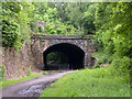 NZ2253 : Eastern portal of old railway tunnel at Beamish by Trevor Littlewood